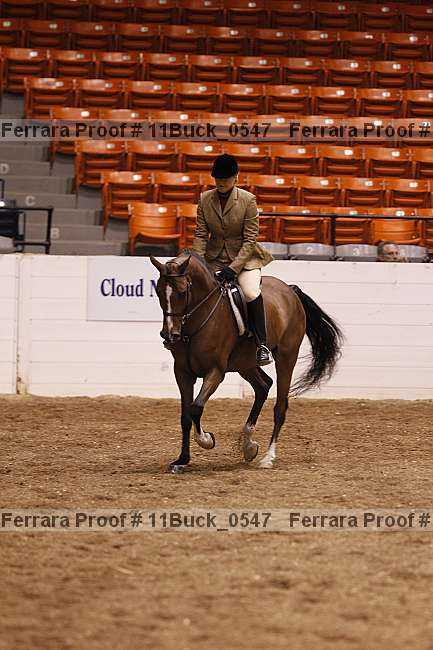 Proof 11buck_0547