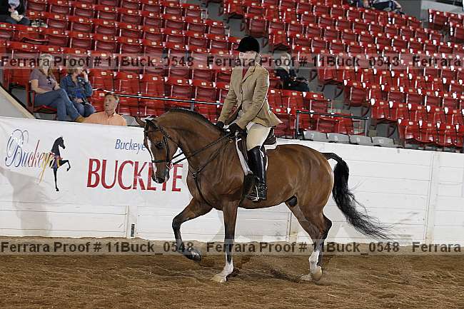 Proof 11buck_0548