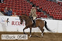 11buck_0548 proof
