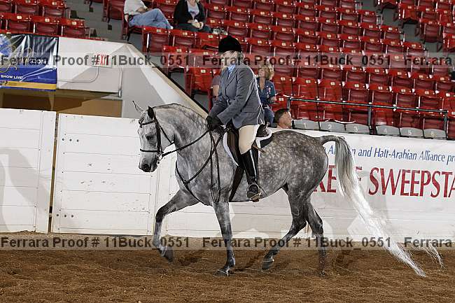 Proof 11buck_0551