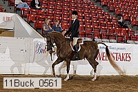 11buck_0561 proof