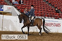 11buck_0563 proof