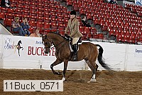 11buck_0571 proof