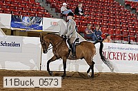 11buck_0573 proof