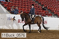 11buck_0576 proof