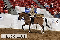 11buck_0581 proof