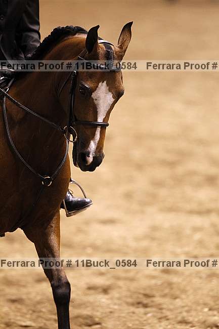 Proof 11buck_0584