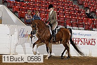 11buck_0586 proof