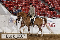 11buck_0587 proof