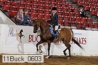 11buck_0603 proof