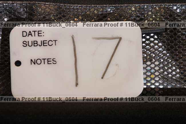 Proof 11buck_0604