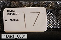 11buck_0604 proof