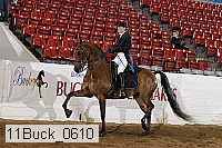 11buck_0610 proof