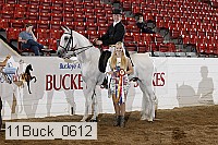 11buck_0612 proof