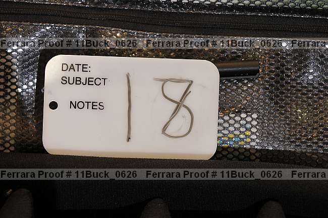 Proof 11buck_0626