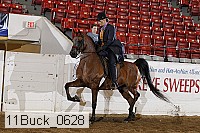 11buck_0628 proof