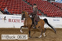 11buck_0635 proof