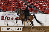 11buck_0640 proof