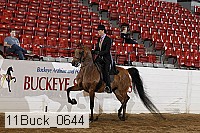 11buck_0644 proof