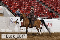 11buck_0647 proof