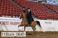 11buck_0649 proof