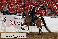 11buck_0653 proof