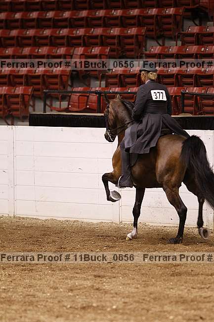 Proof 11buck_0656