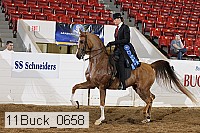 11buck_0658 proof