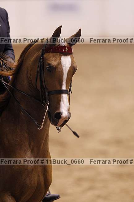 Proof 11buck_0660