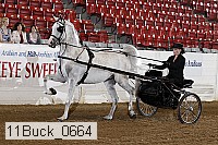 11buck_0664 proof