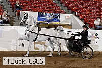 11buck_0665 proof