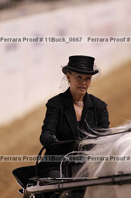 Proof 11buck_0667
