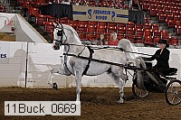 11buck_0669 proof