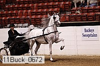 11buck_0672 proof