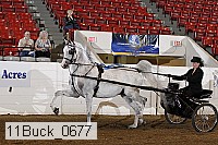 11buck_0677 proof