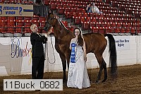 11buck_0682 proof