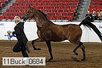 11buck_0684 proof