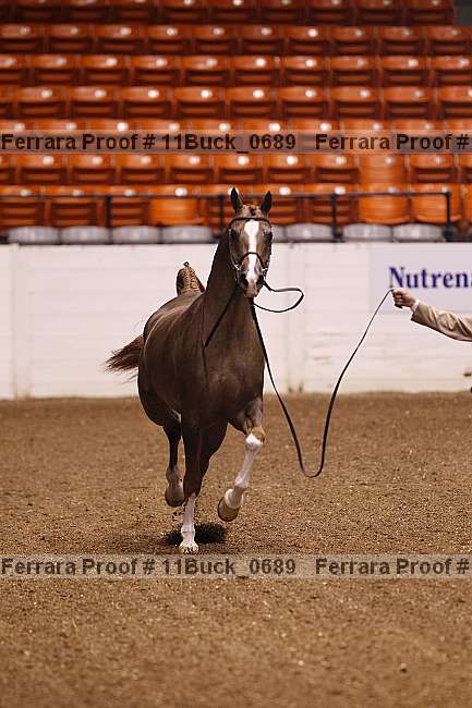 Proof 11buck_0689