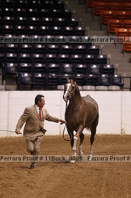 Proof 11buck_0695
