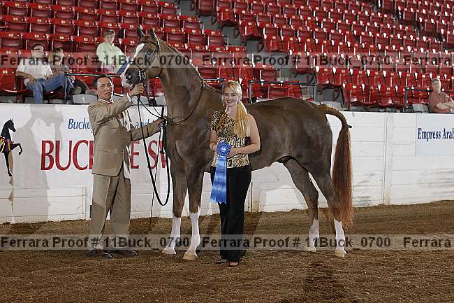 Proof 11buck_0700