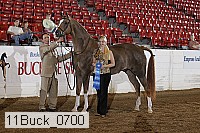 11buck_0700 proof
