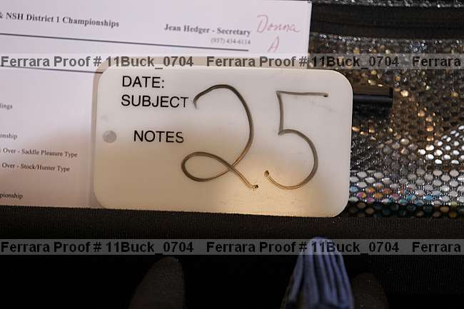 Proof 11buck_0704