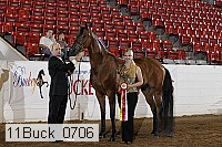11buck_0706 proof