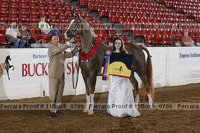 Proof 11buck_0709