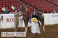11buck_0709 proof
