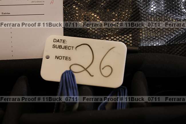 Proof 11buck_0711