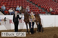 11buck_0726 proof