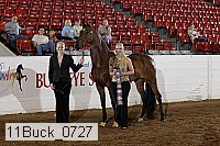 11buck_0727 proof