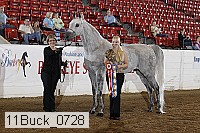 11buck_0728 proof