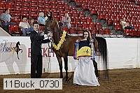 11buck_0730 proof
